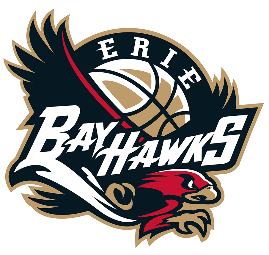 Erie BayHawks 2019-Pres Primary Logo iron on transfers for T-shirts